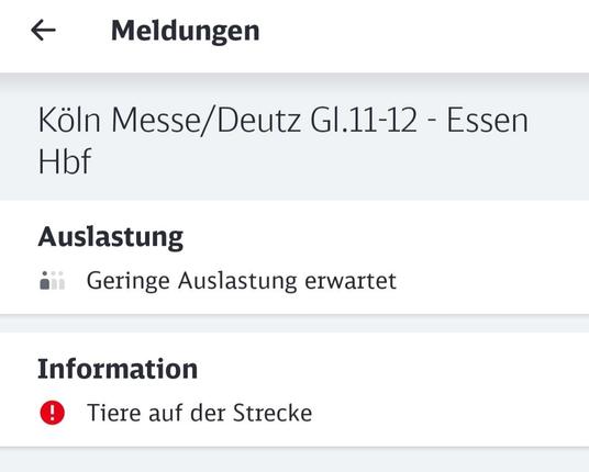 Screenshot aus dem DB Navigator mit der Meldung Tiere auf der Strecke