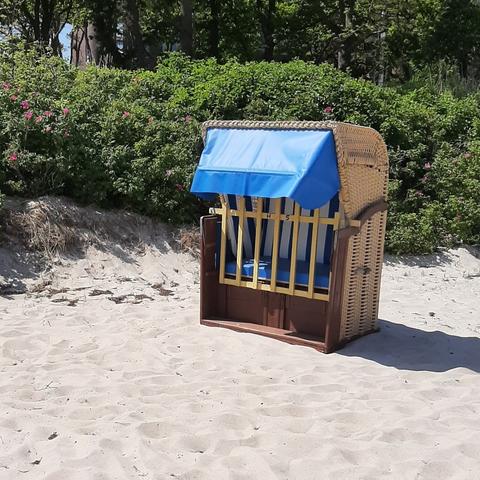 Strandkorb auf Sand mit Hagebutten im Hintergrund