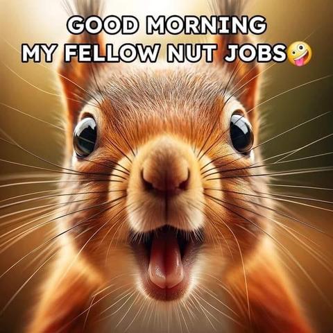 Picture a close-up of a red squirrel with a look of joy on their face. 
the caption reads: “Good morning my fellow nut jobs!”
Credit: AI generated but not by me - nicked from a Peep.