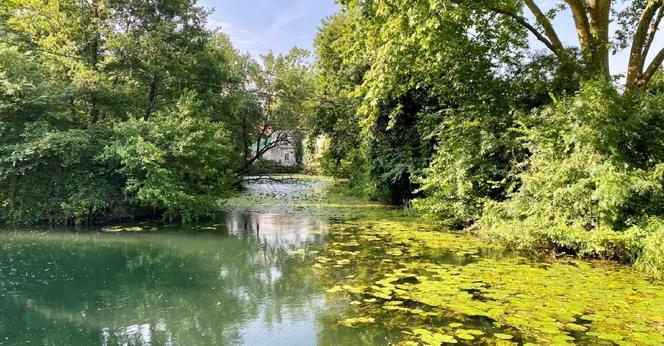 Le site de la Rousille, à Niort, fait partie de la réserve naturelle régionale.