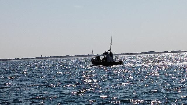 bateau de pêche au travail