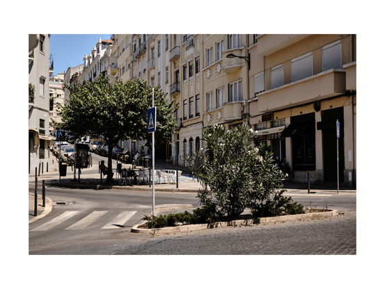 a curved intersection in lisbon with zebracrossings in different directions, a traffic island with green bushes on it, in the background people sitting under a tree