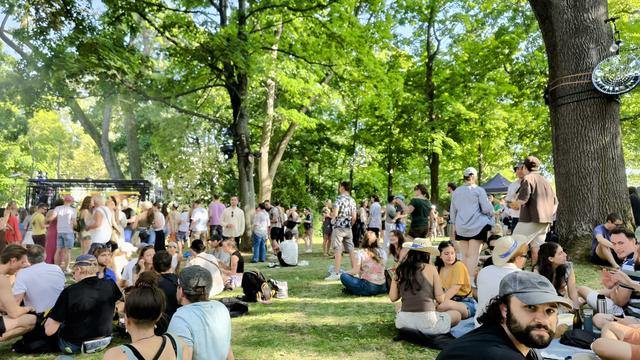 Viele Menschen stehen und sitzen im Schatten in einem Park. Im Hintergrund eine kleine Bühne.