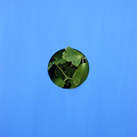Blue Lake - Moving LP cover