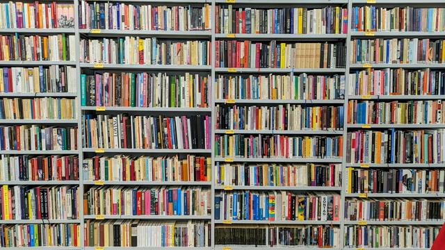 Photo of book shelves in library spaces of new QWIEN buidling.