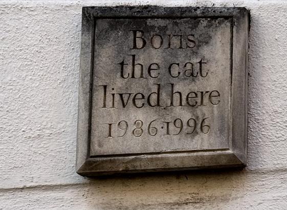 Plaque in local street house stating that Boris the Cat lived there.