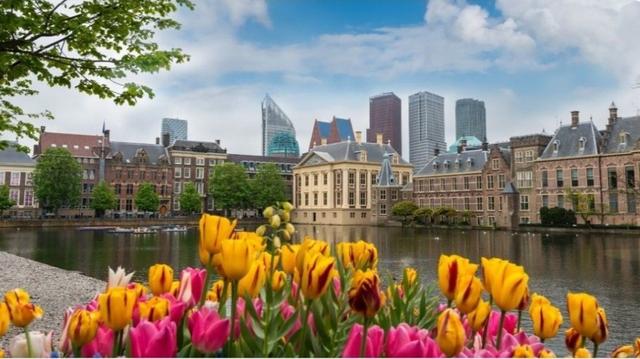 Foto van de hofvijver in Den Haag met half bewolkte lucht. Op de voorgrond tulpen.