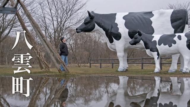 【八雲町】海のドライブを楽しむ誕生日の車中泊 | 北海道ひとり旅