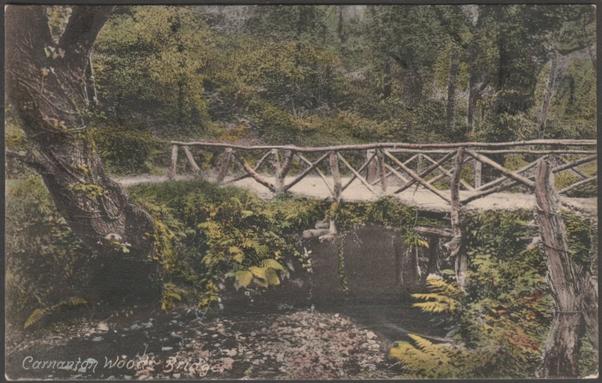 Printed hand-tinted postcard showing a view of the bridge in Carnanton Woods in St Mawgan near Newquay in Cornwall.

Published by F. Frith & Co Ltd, Reigate, Frith's Series, No 33537, photo registered in 1894, printed in Saxony, c.1905-10.

Postally unused.

Very good condition, with slight corner bumps.