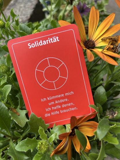 Orangefarbene Wertekarte „Solidarität“ inmitten von bunten Blumen. Text: „Ich kümmere mich um Andere. Ich helfe denen, die Hilfe brauchen.“