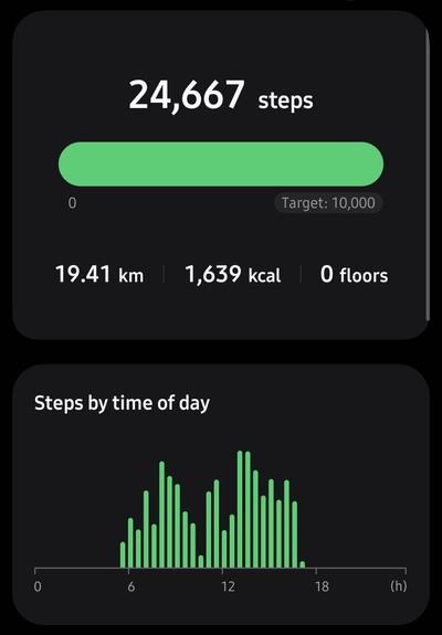 Screen shot from Samsung Health showing a step total of 24,667 steps for June 15th.
