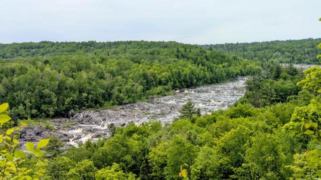 View of river rapids and dense forest hills from an overlook
