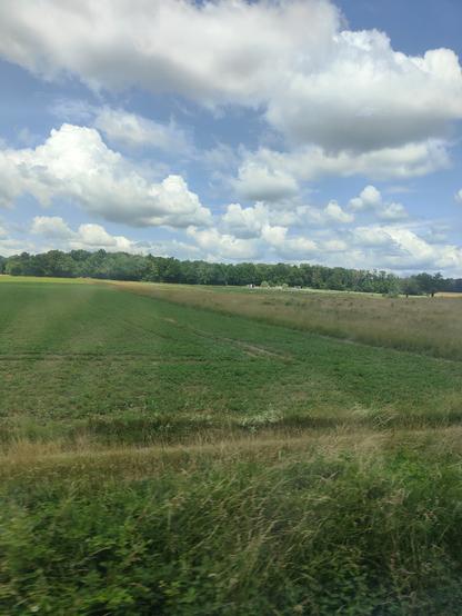 Sous un ciel moutonnant, une lisière de forêt derrière des champs verts