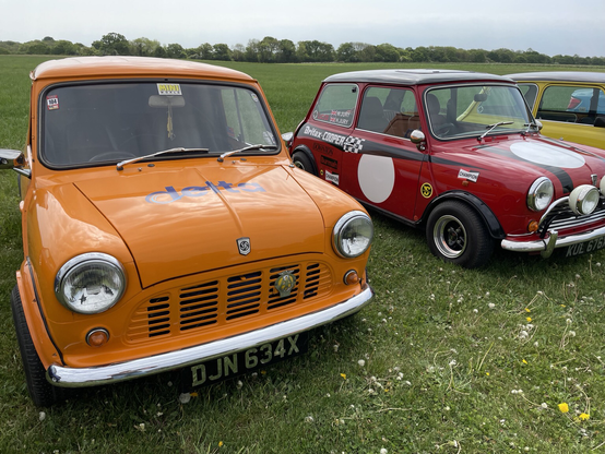 Engine bay stickers for #ClassicMini is our game on #MiniMonday, like for this Donald Trump coloured #MiniVan - http://miniphernalia.co.uk