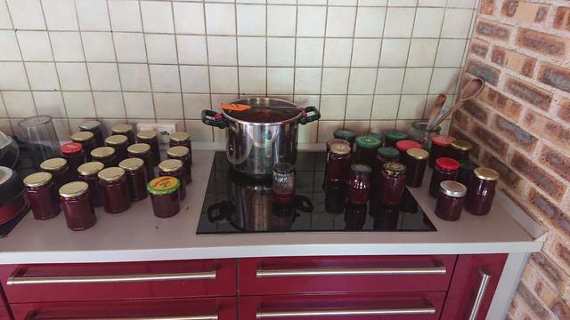 La plaque de cuisson avec ma cocotte et 36 pots de confiture dépareillés et tout chauds
