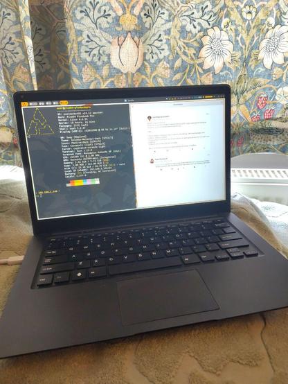 A photo of a slim black laptop with an icon of a pinecone where the "Windows" key normally is.  On the screen is the output of "fastfetch" under PostmarketOS on a Pinebook Pro, and to the right is the "Tootle" Mastodon client showing MyrmePropagandist's post that started this thread.