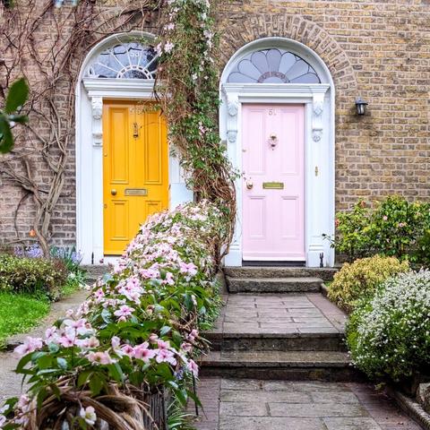 A charming street-level view of two adjacent Georgian doorways in Dublin, Ireland, both set in a light brown brick facade. On the left, a bright yellow door with white trim and a fanlight above is visible. On the right, a soft pink door with white trim and a similar fanlight is shown. Both doors have brass knockers and letterboxes. A tall, winding vine with pink flowers grows between the two doorways, forming a natural arch. A stone pathway leads to the pink door, and a grassy area with flowers and shrubs is on the left, while more shrubs are on the right. The numbers "53" and "51" are visible on the yellow and pink doors, respectively.