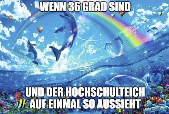 Meme mit fantasievoller Unterwasserszene mit Delfinen, bunten Fischen, Regenbogen und Herzblasen. Text: „Wenn 36 Grad sind und der Hochschulteich auf einmal so aussieht“.