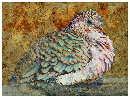 Close up image of a white dove against a highly textured gold background. The dove has detailed colored pencil lines of varying color, ranging from light green to orange added to its feathers. Its eye and beak are vivid red and orange.