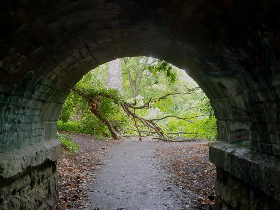 End of a dark stone tunnel, framing a large branch of a tree collapsed over a footpath, bright in the sun