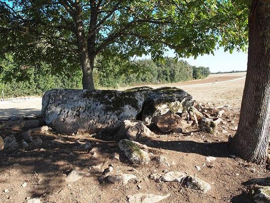 Dolmen de la Maison de la Vieille à #Luxé (#Charente) Construction Néolithique. Dolmen de la Maison de la Vieille (cad. C 19) : inscription par arrêté du 23 janvier 1956.
Suite 👉 https://monumentum.fr/monument-historique/pa00104401/luxe-dolmen-de-la-maison-de-la-vieille
#Patrimoine #MonumentHistorique
Photo CC-BY-SA 4.0 : Rosier