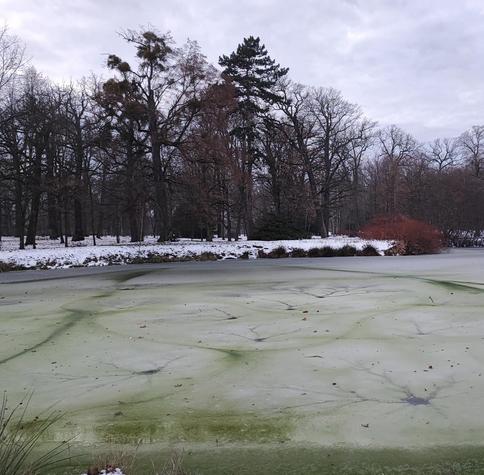 Frozen lake with green water