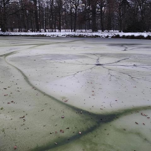 Frozen lake with green water