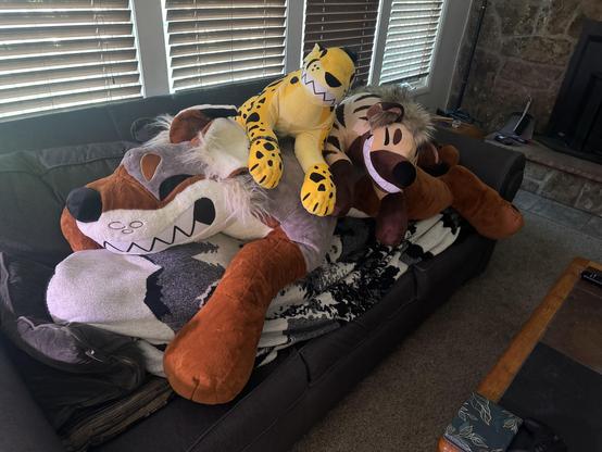 A 3 foot hyena plushy next to a 3 foot cheetah plushy a top of 6 foot coyote plushy a top appears to be a person wrapped completely in a blanket, laying on a couch