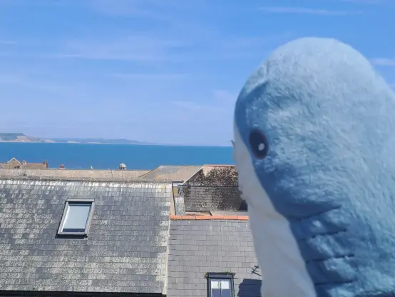 Blahaj looking toward the sea over some rooftops