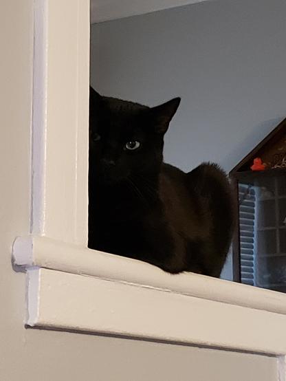 A black cat peering around the corner of a wall while loafed up