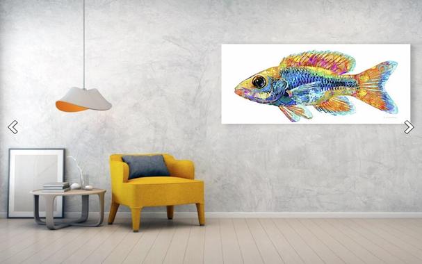 Colorful fish in a rainbow of colors on crisp white in a furniture setting by artist and poet Sharon Cummings.  Haiku in post.