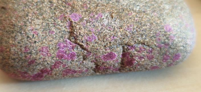 Patches of purple colouration on a small brown pebble.
