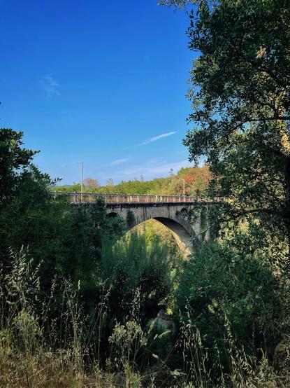 An old arched bridge is seen through the green and yellow bushes and trees. The sky is blue and the weather is warm