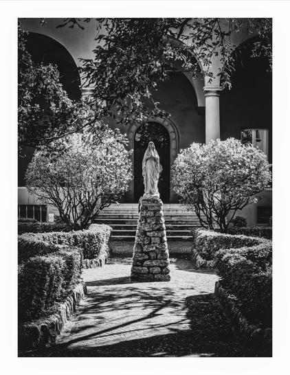 This is a black and white photograph of a statue of the Virgin Mary in the middle of a garden courtyard.  She is on a stone pedestal in the center of a pathway with neatly trimmed hedges and shrubs on either side. In the background you can see a classical-style building with arched doorways and windows. It is partially obscured by tree branches. There is a big contrast between light and shadow which tries to bring out the different textures from the trees, the stone pedestal, the statue, the shrubs etc.