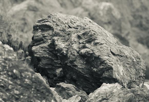 A grayscale monochrome image of a rock, seen among blurred rocks behind and in front of it. There are shapes on one edge that look like a jutting jawline and mouth, a bulbus nose above that, and two depressions that could be eye-holes under a jutting brow. 
That ‘face’ appears on a hunched over rock shape that resembles a thick body in an ape-like stance.