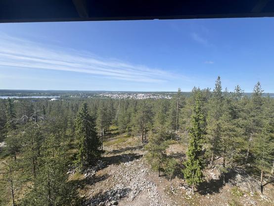 Wide angle shot down a hill with trees in the foreground and water and a city in the background
