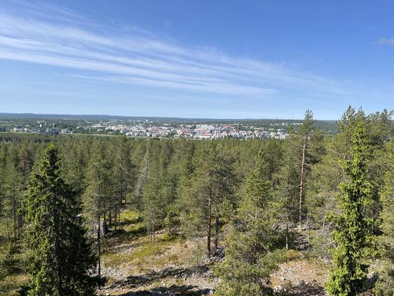 shot down a hill with trees in the foreground and water and a city in the background