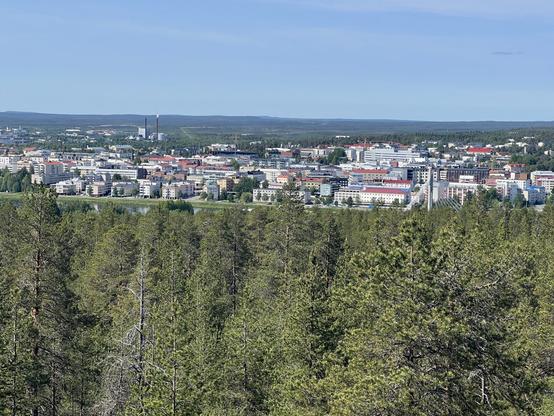 Zoomed in shot down a hill with trees in the foreground and water and a city in the background