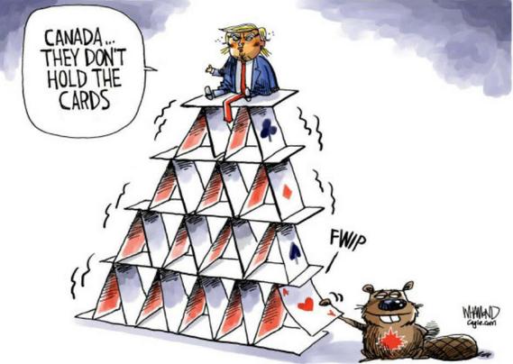 Editorial cartoon of Trump sitting on top of cards built as a pyramid. A Canadian beaver with a Canadian oak leaf on her chest is pulling a bottom, card out.  Trump “Canada, they don’t hold the cards”