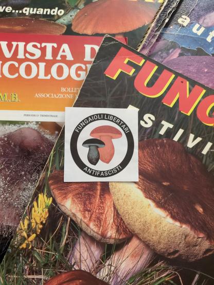 La foto mostra una serie di riviste dedicate alla micologia, con copertine che mostrano diverse specie di funghi. Al centro c'è un logo antifascista circolare con scritto: FUNGAIOLI LIBERTARI ANTIFASCISTI