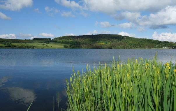 Le lac de Saint-Front (43), qui occupe un cratère de maar.