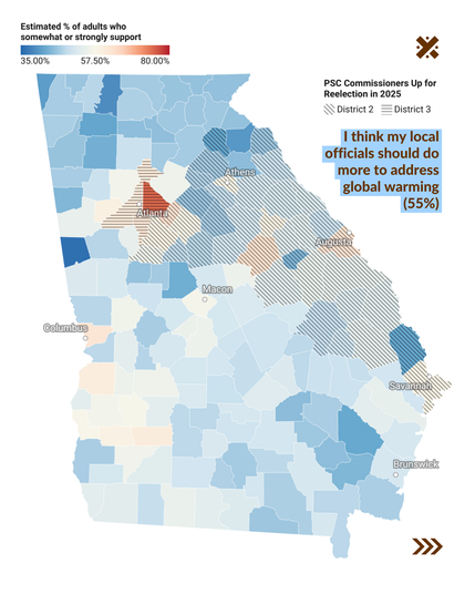I think my local officials should do more to address global warming (55%)