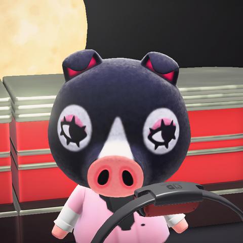 Animal Crossing: New Horizons screenshot that is intended to look like Dua Lipa's Future Nostalgia album cover. Agnes (black pig with white around her eyes) is dressed in a pink shirt that is open exposing a portion of her chest half the sleeves are white. She is sitting looking downward with a stylized red counter behind her and car with a Switch Ring Fit in front of her to simulate the steering wheel. The background is all black with the moon right behind her on the left.