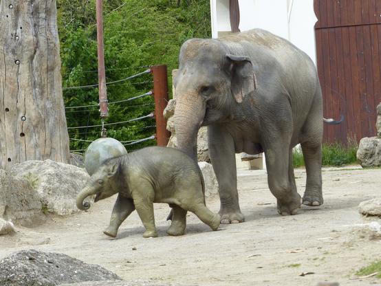 Otto mit seiner Mama 2021