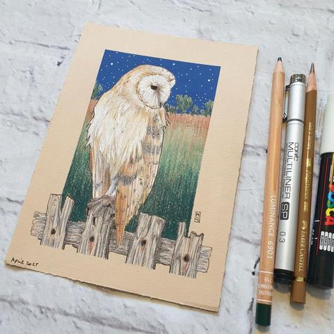 A small drawing of a barn owl sitting on a fence, with a little night time farmland scene in the background. The drawing is on beige toned pastel paper. It measures 5 by 7 inches.
Barn owls have some extraordinary adaptations to help them hunt at night, such as incredibly sensitive hearing and the ability to spot movement in very low light.
An original art work
Colour pencil and mixed media on acid free toned artist paper
5 by 7 inches (12.7 by 17.8 cm).
Sold unframed