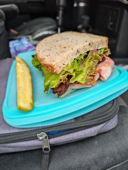 Ham bacon and prosciutto, on seeded bread, with a heap of home grown lettuce, and a pickle wedge on the side