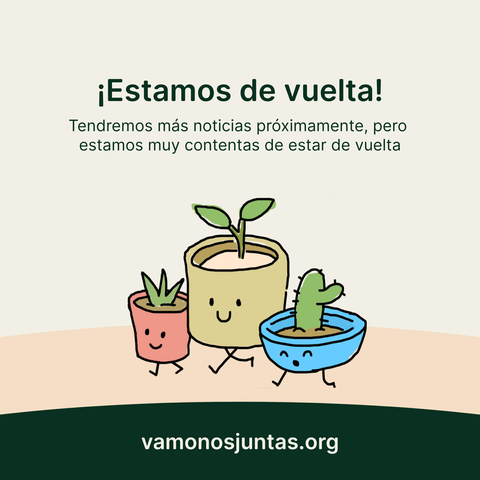 Banner con un fondo amarillo crema con una ilustración de tres plantitas en sus respectivas macetas con el texto: ¡Estamos de vuelta! Tendremos más noticias próximamente, pero estamos muy contentas de estar de vuelta