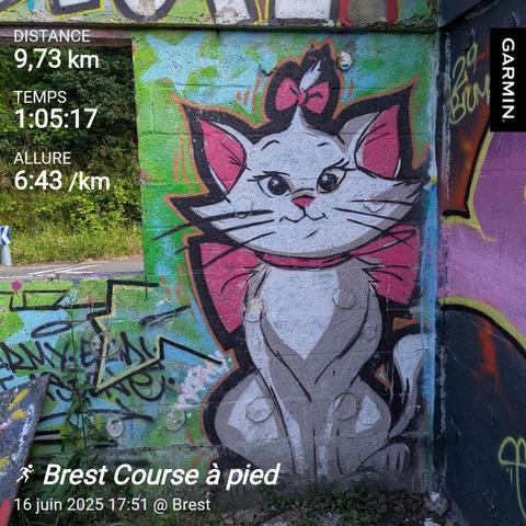 Graffiti de Marie des Aristochats et statistiques de la course