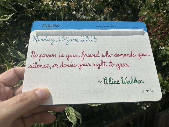 A pen quote of Alice Walker that reads, “No person is your friend who demands your silence, or denies your right to grow.”

Written using Pelikan Edelstein Aquamarine, Wearingeul Captain Hook & Montblanc Irish Green.