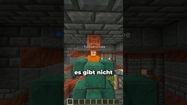 Minecraft Fragen bis TooBad in die Luft fliegt…?! #minecraft #minecraftshorts #maggus